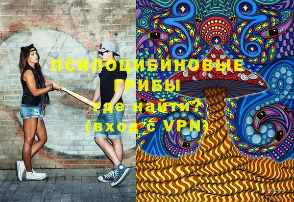 эйфоретик Алзамай