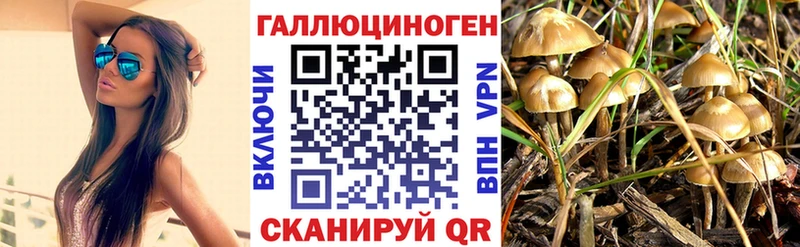 где найти   Кондопога  МЕГА tor  Псилоцибиновые грибы мицелий 